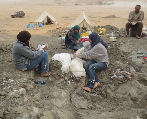 Egyptian scientists digging up the dinosaur's remains in the Dakhla Oasis.