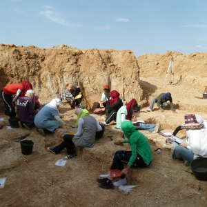 Members of the team excavating at Ain Boucherit.