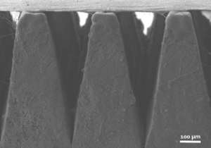 Electron microscopy image of the salt-solution-infused thin-film condenser. Water vapour forms droplets on the upper surface, which are then collected in the saline solution-filled channels below.