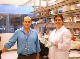 
Kourosh Salehi-Ashtiani and Tayebeh Bahmani, a member of his lab, are currently isolating new strains of algae from local environments.
