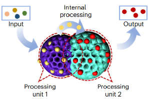Schematic summary of the double-spherical ‘Janus’ nanoparticle acting as a biological logic gate with molecular input and output.