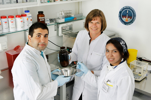 Researchers Akram Abdellatif, Ulrike Protzer and Hanaa Gaber